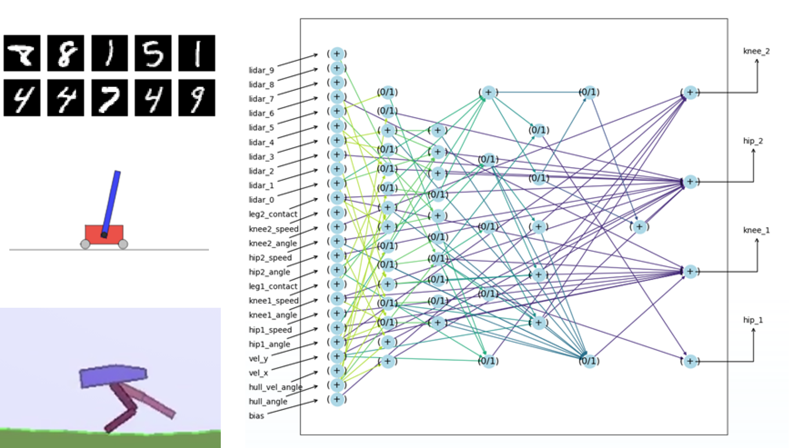 Evolving Spiking Circuit Motifs using Weight Agnostic Neural Networks.